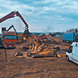 Mexi - Wywóz drewna z terenu: ciężarówki z dźwigami załadowują pocięte pnie drzew. Biały bus z otwartym bagażnikiem w tle. Praca wre.