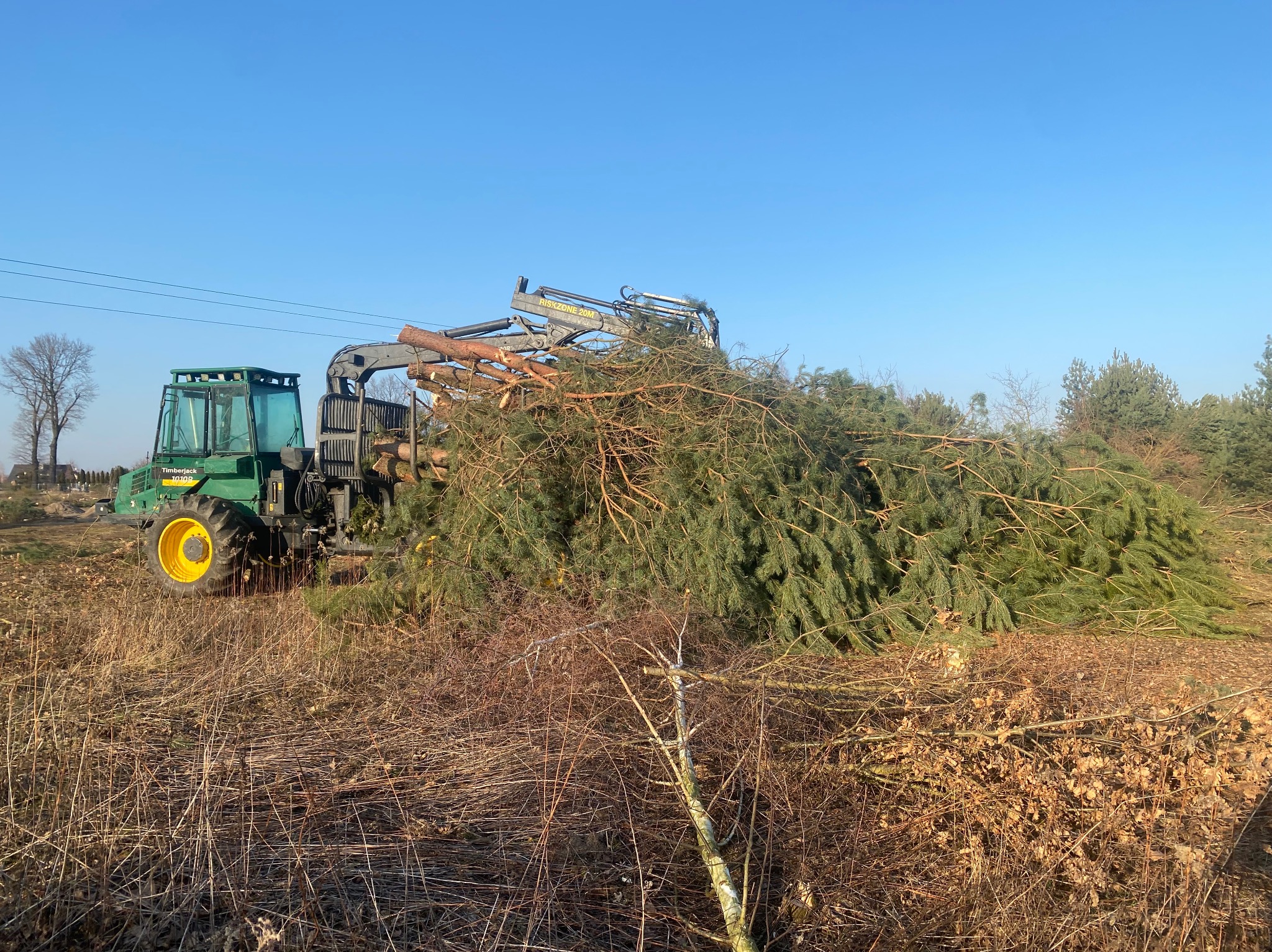 Maszyna leśna Timberjack z żółtymi kołami i chwytakiem do drzew, na tle błękitnego nieba, z ułożonymi gałęziami i ściętymi drzewami. W tle widoczne drzewa.