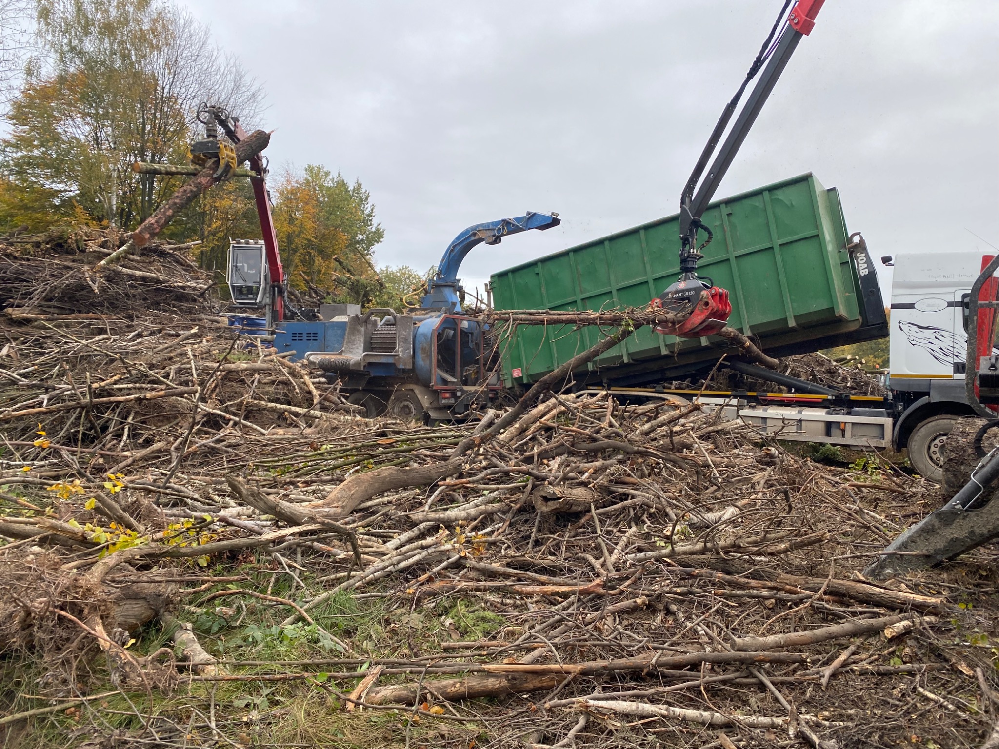 Maszyna z chwytakiem załadowuje gałęzie do kontenera na ciężarówce; w tle stos gałęzi i drzewa.