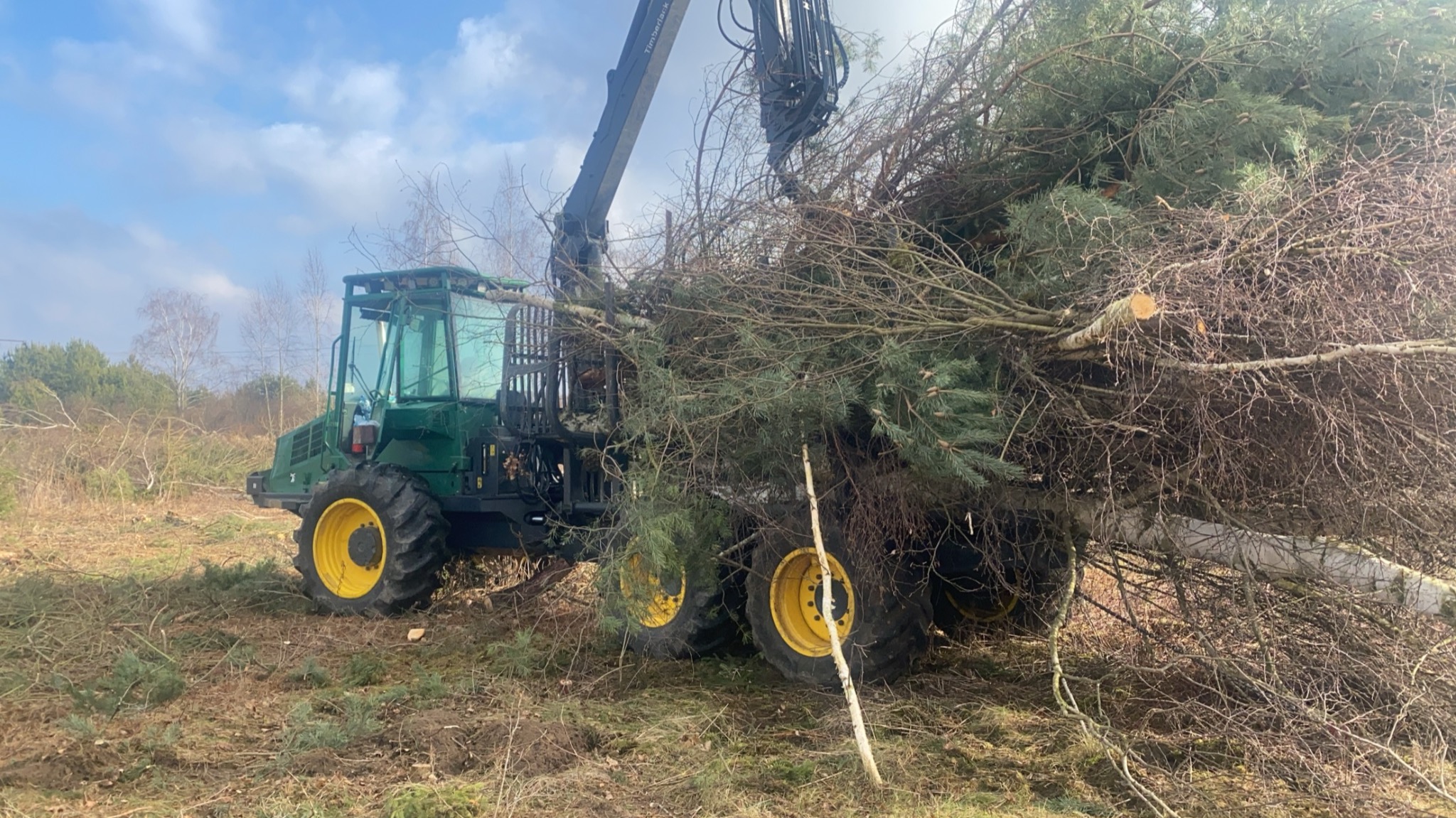 Zielony forwarder z żółtymi kołami transportuje ścięte drzewa na tle lasu i błękitnego nieba. Widoczne pozostałości po wycince.