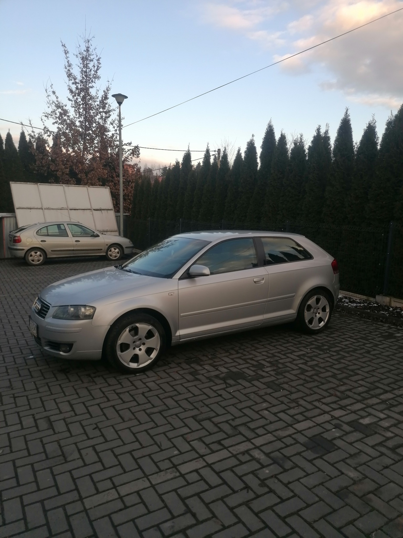 Srebrny, trzydrzwiowy samochód Audi A3 zaparkowany na brukowanym podjeździe, w tle rząd wysokich, zielonych tuj i częściowo widoczny inny pojazd.