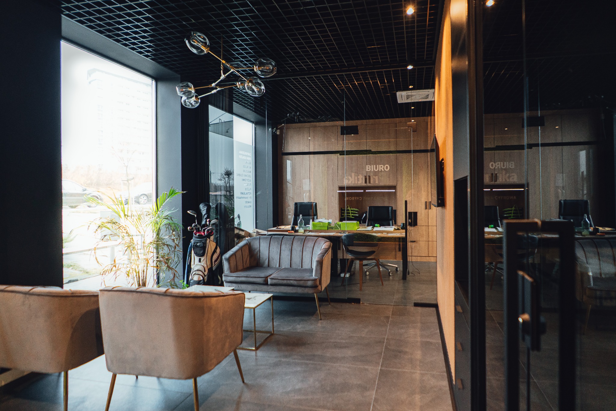 Nowoczesne wnętrze biura z przeszkleniami bezramowymi, szarymi sofami i rośliną w pobliżu okna, widok na biurka i krzesła za szklaną ścianą.
