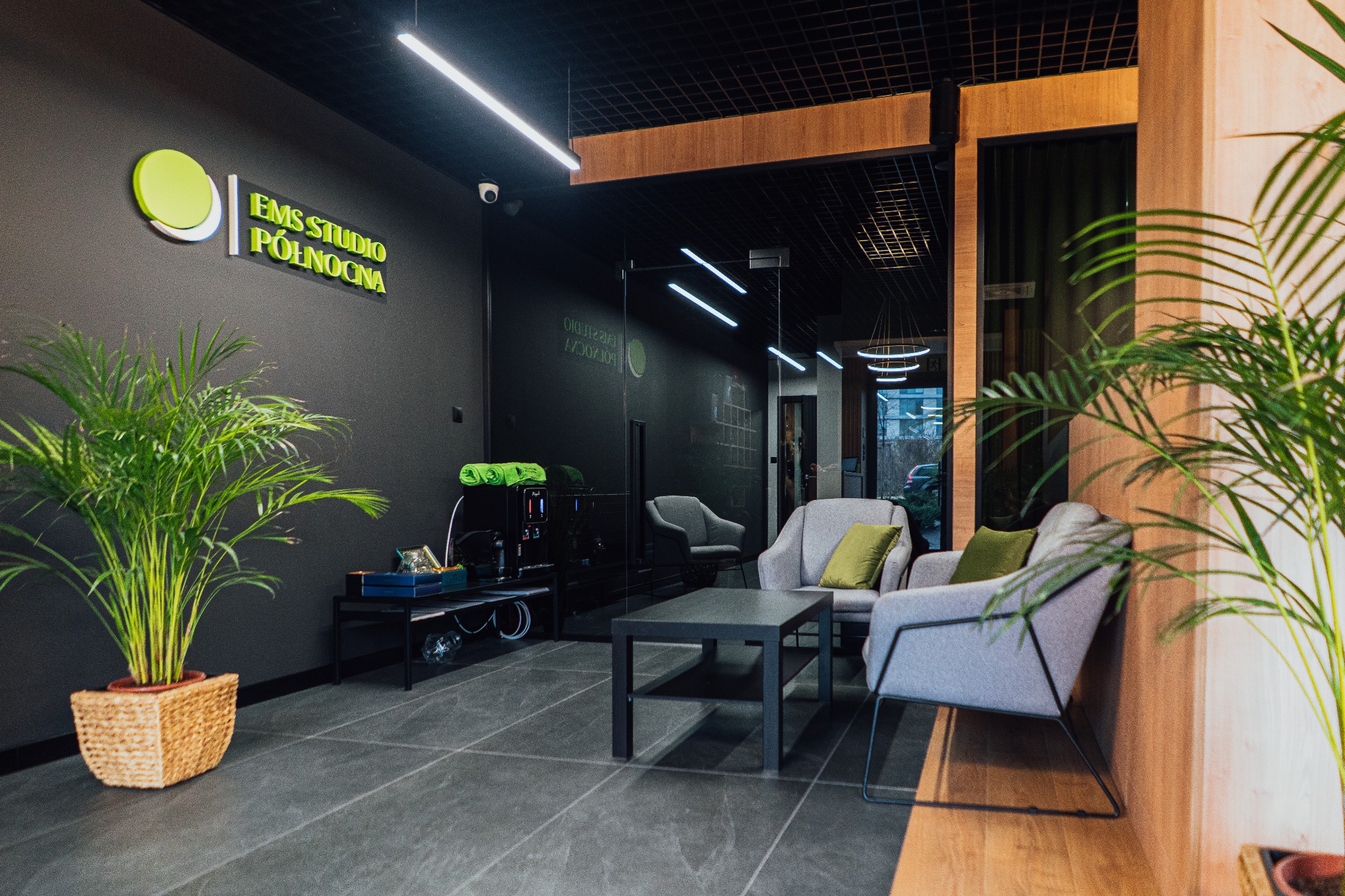 Nowoczesne wnętrze biura EMS Studio Północna z przeszkleniami bezramowymi, szarymi fotelami i zielonymi roślinami doniczkowymi, oświetlone ledowymi lampami.
