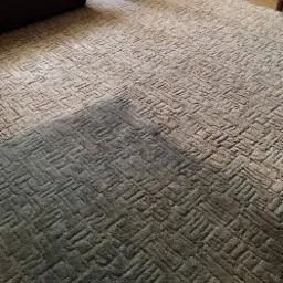 Wzorzysty dywan w odcieniach beżu i brązu, częściowo zacieniony, z widocznymi meblami w tle.