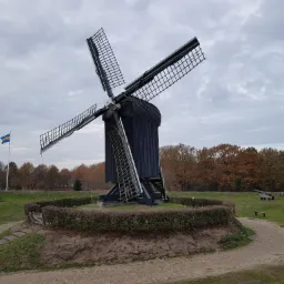 Czarny wiatrak z czterema skrzydłami otoczony niskim żywopłotem, w tle drzewa i flaga na wzg&oacute;rzu