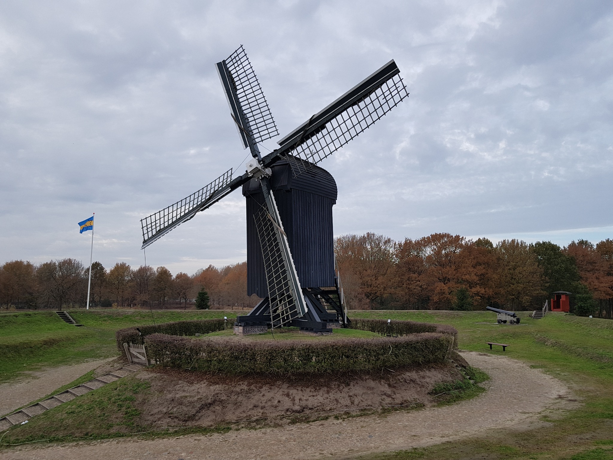 Czarny wiatrak z czterema skrzydłami otoczony niskim żywopłotem, w tle drzewa i flaga na wzgórzu