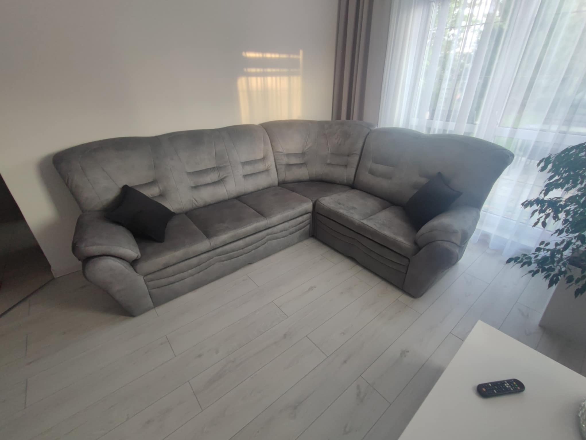 Szara, welurowa sofa narożna z dwiema czarnymi poduszkami na tle jasnych paneli podłogowych i okna z firankami.
