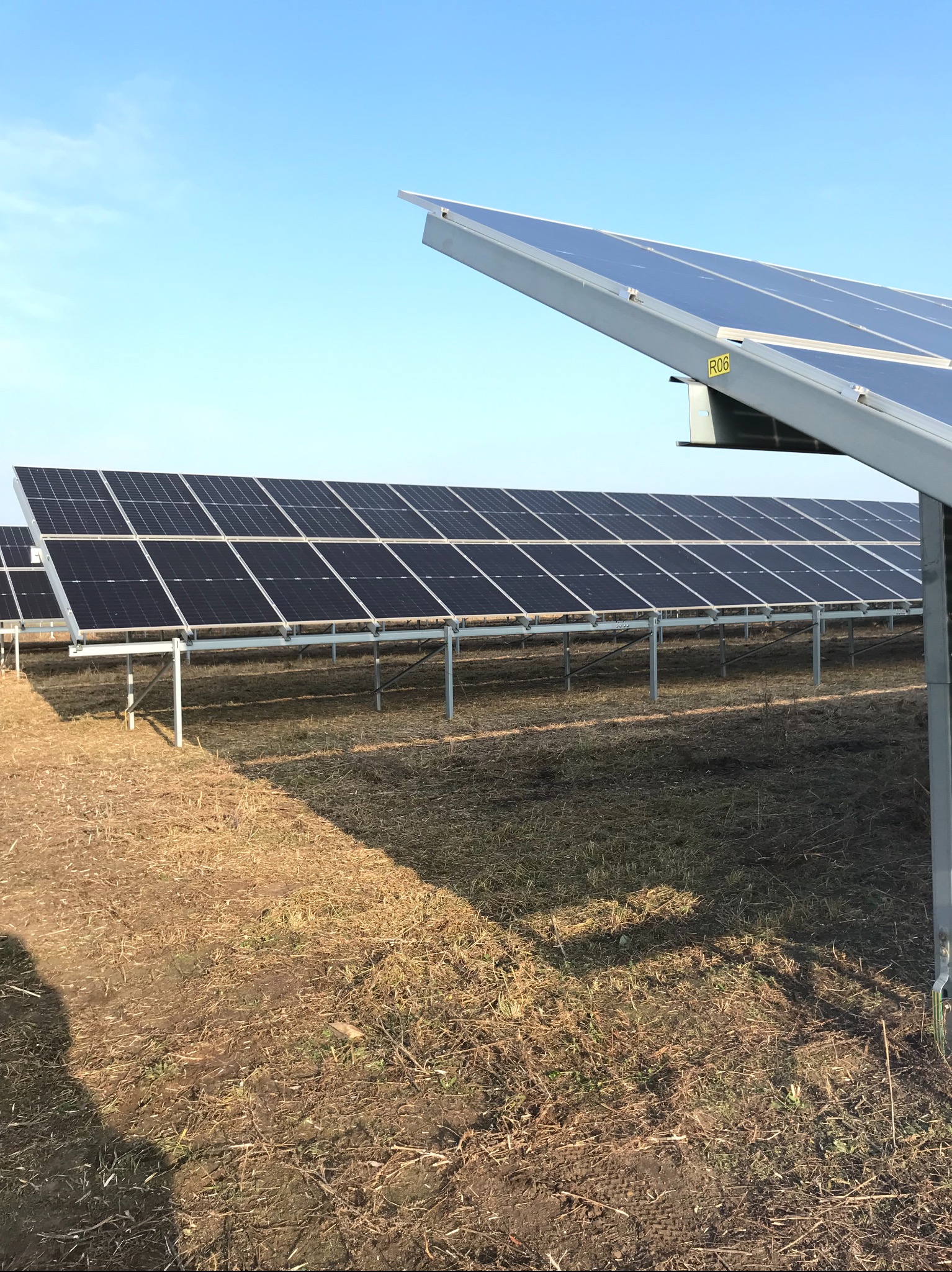 Rząd paneli słonecznych na metalowych wspornikach na polu z suchą trawą pod błękitnym niebem.