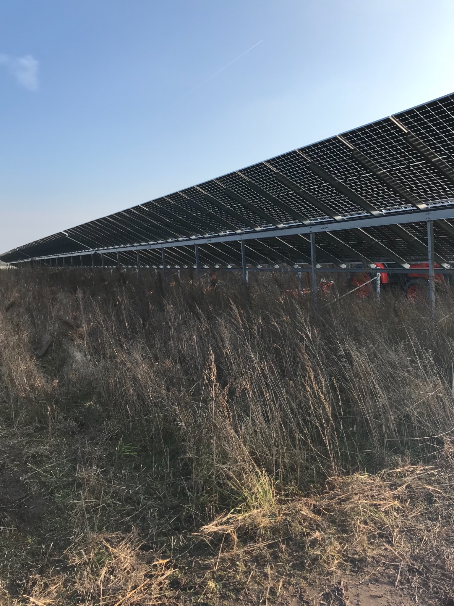 Rząd paneli słonecznych na metalowej konstrukcji, widoczne z perspektywy niskiej trawy, z pomarańczowym traktorem w tle i błękitnym niebem.