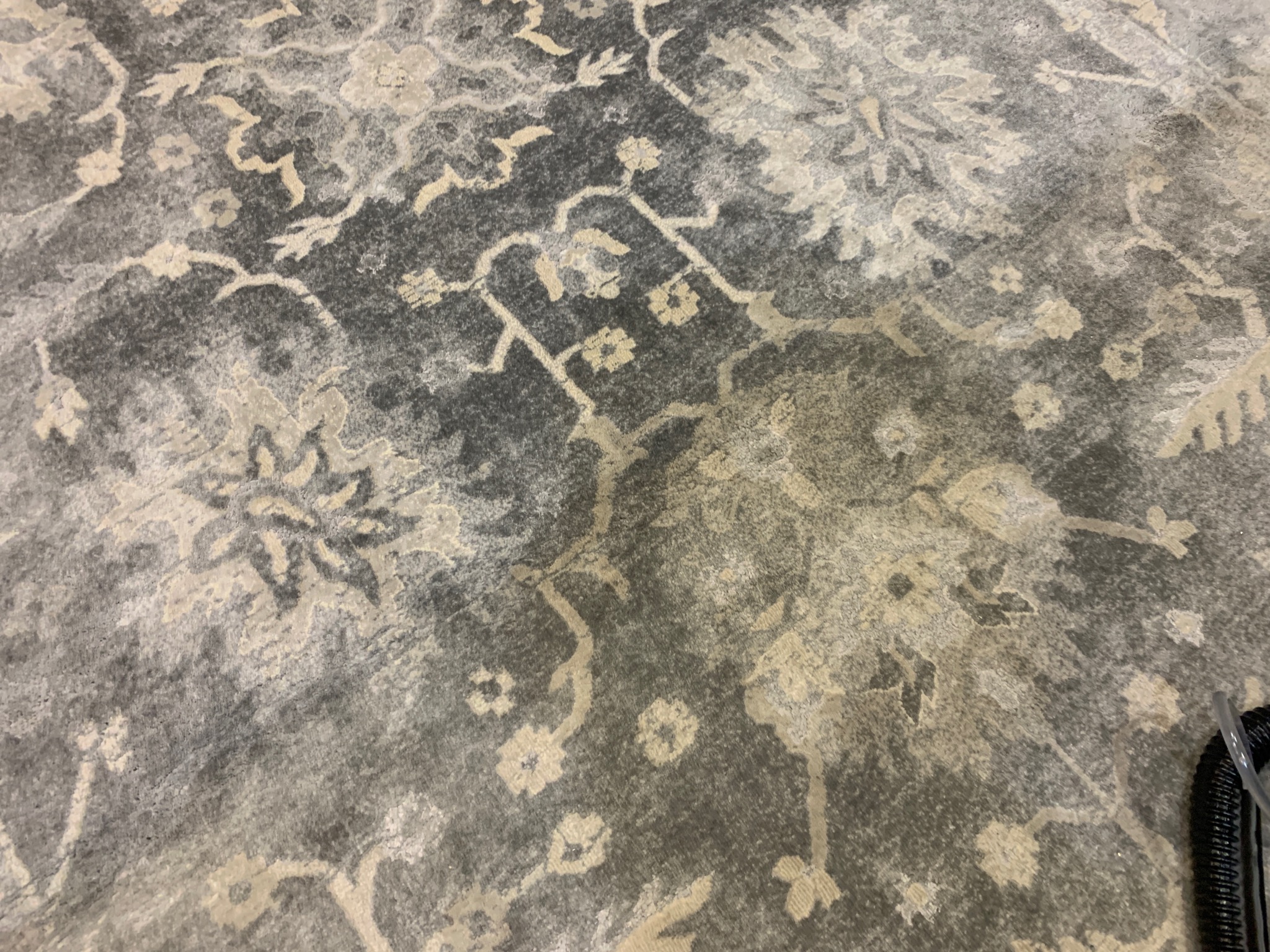Szaro-beżowy dywan z orientalnym wzorem, widoczny fragment węża od odkurzacza piorącego w prawym dolnym rogu.