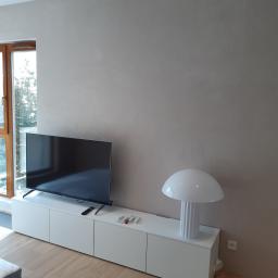 Remonty I Wykończenia Karol Szczęsny - Minimalistyczny salon z telewizorem na białej szafce RTV, lampą w stylu retro i świeżo pomalowaną ścianą w odcieniach beżu, widok na park przez okno.