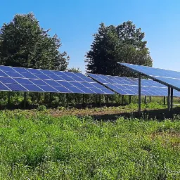 Rząd paneli słonecznych ustawionych na łące z wysoką trawą, z drzewami w tle pod błękitnym niebem.