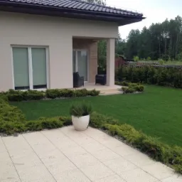 Nowoczesny dom z zadbanym trawnikiem, obrzeżami z krzewów iglastych i jasną kostką brukową na tarasie, donica z ziołami na pierwszym planie.