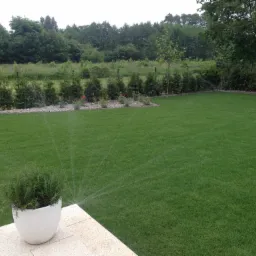 Nawadnianie trawnika zraszaczem, w tle rząd tuj i drzew, na pierwszym planie donica z ziołami.