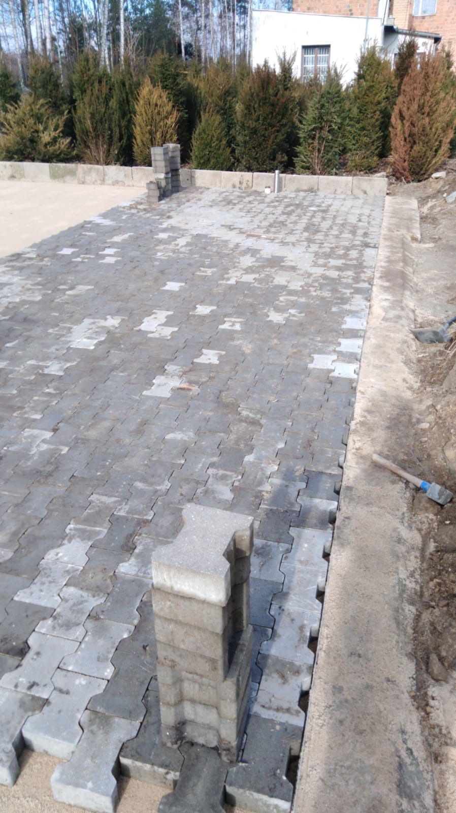 Ułożona częściowo szara kostka brukowa typu I na piaskowym podłożu, stos kostki obok, widoczne krawężniki i tło z tujami oraz budynkiem.