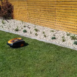 Robot koszący na trawniku przed drewnianym ogrodzeniem panelowym i rabatą z białych kamieni z nasadzeniami.