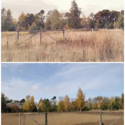 Dwa ujęcia tego samego terenu: na górnym zdjęciu zarośnięte pole z drewnianą bramą, na dolnym zdjęciu teren przygotowany, z wyrównaną ziemią i tą samą bramą.