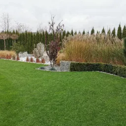 Starannie zaprojektowany ogród z równym trawnikiem, dekoracyjnymi trawami, drzewami formowanymi i elementami skalnymi na tle szpaleru z tuj.