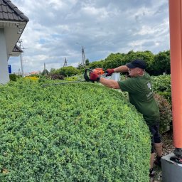 Prace Ogrodowe "InPasja" - Bezkonkurencyjny Producent Trawy z Rolki Inowrocław