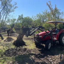 Czerwony traktor Yanmar z podnośnikiem usuwa karpę drzewa w Kruszwicy. W tle pracownik porządkuje teren po wycince, widoczne drzewa i błękitne niebo.