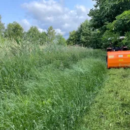 Pomarańczowa kosiarka bijakowa w trakcie koszenia wysokiej trawy na łące, widoczna ścieżka świeżo skoszonej trawy, drzewa w tle.