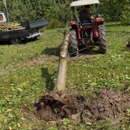 Prace Ogrodowe "InPasja" - Przed domem Inowrocław