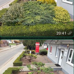 Prace Ogrodowe "InPasja" - Porządna Trawa Rolowana Inowrocław