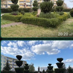 Prace działkowe Inowrocław