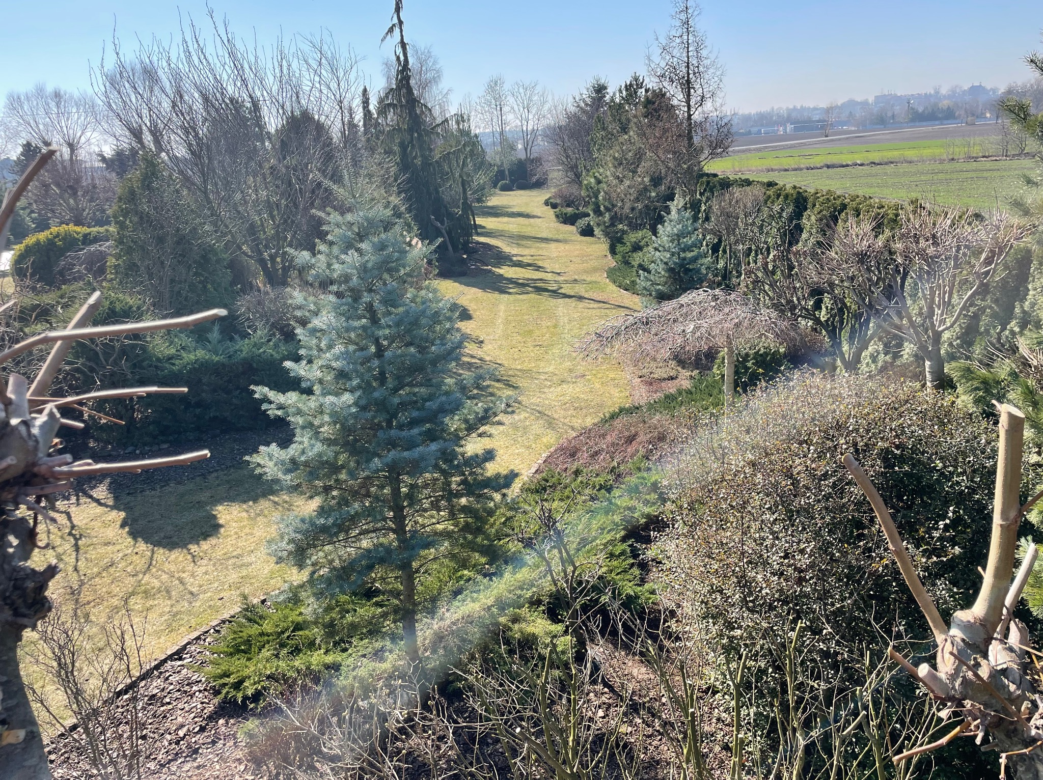 Długi, zadbany trawnik z równo przystrzyżoną trawą, otoczony różnorodnymi drzewami i krzewami w słoneczny dzień, widok z góry.