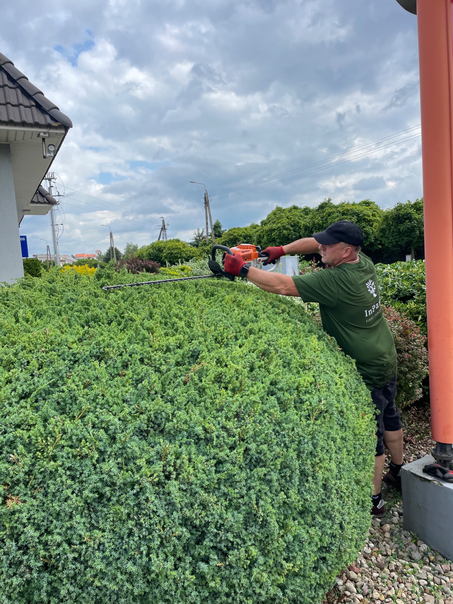 Mężczyzna w ogrodzie, przycina żywopłot nożycami spalinowymi, dbając o kulisty kształt krzewu. W tle budynek i pochmurne niebo.