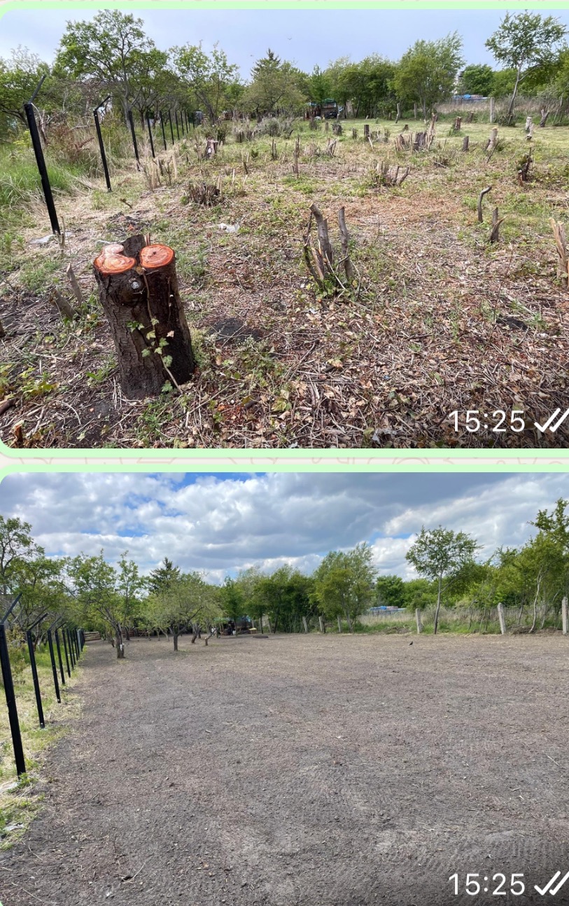 Zdjęcie 'przed i po' wycinki drzew na działce. Na górze widoczne pniaki po wycince, na dole teren wyrównany i przygotowany pod dalsze prace.