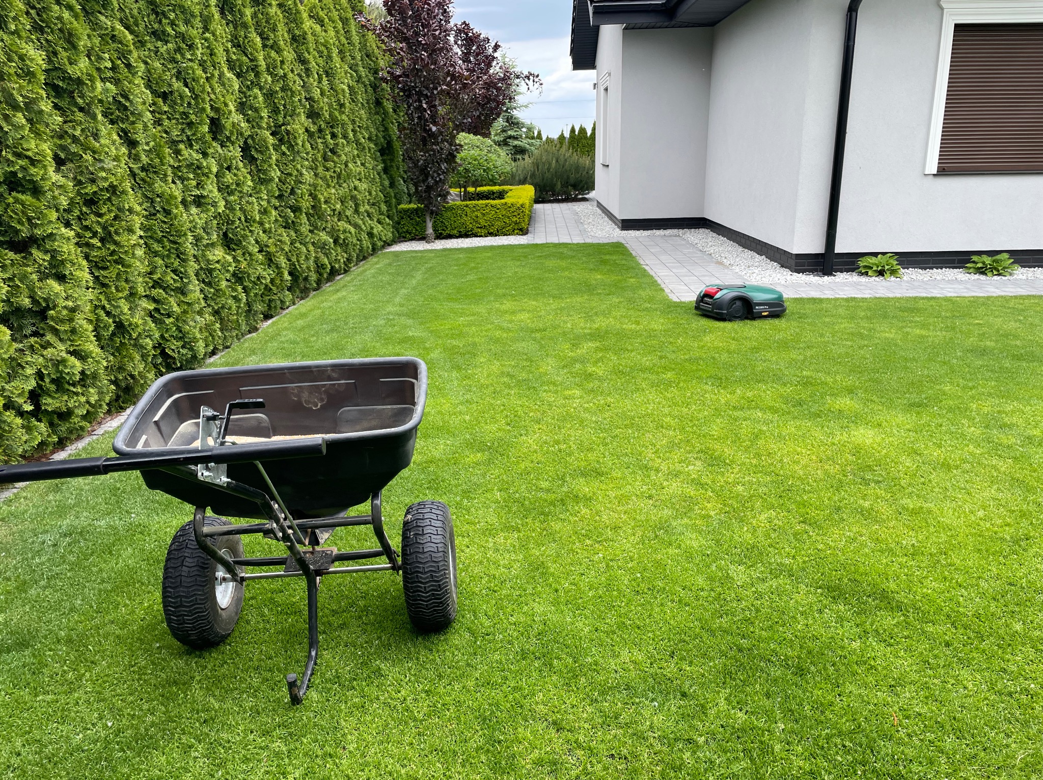 Wózek do nawozu na tle równo skoszonego trawnika, z robotem koszącym w tle. Żywopłot z tui przy granicy działki. Dom z jasną elewacją.