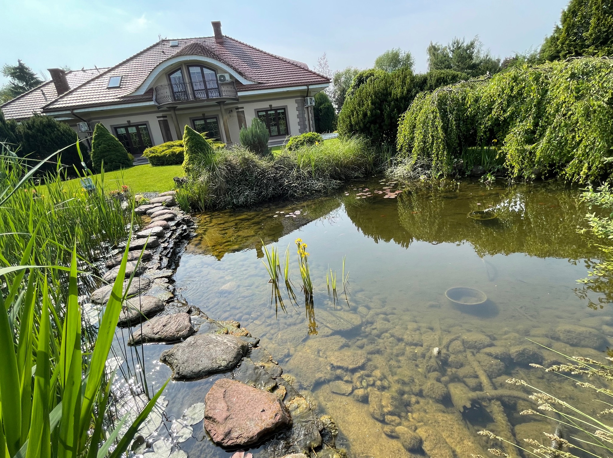 Oczko wodne z kamienną ścieżką i roślinnością wodną na tle domu z ogrodem. Widoczne lilie wodne, kamienie, trawa i drzewa. Słoneczny dzień, czysta woda.