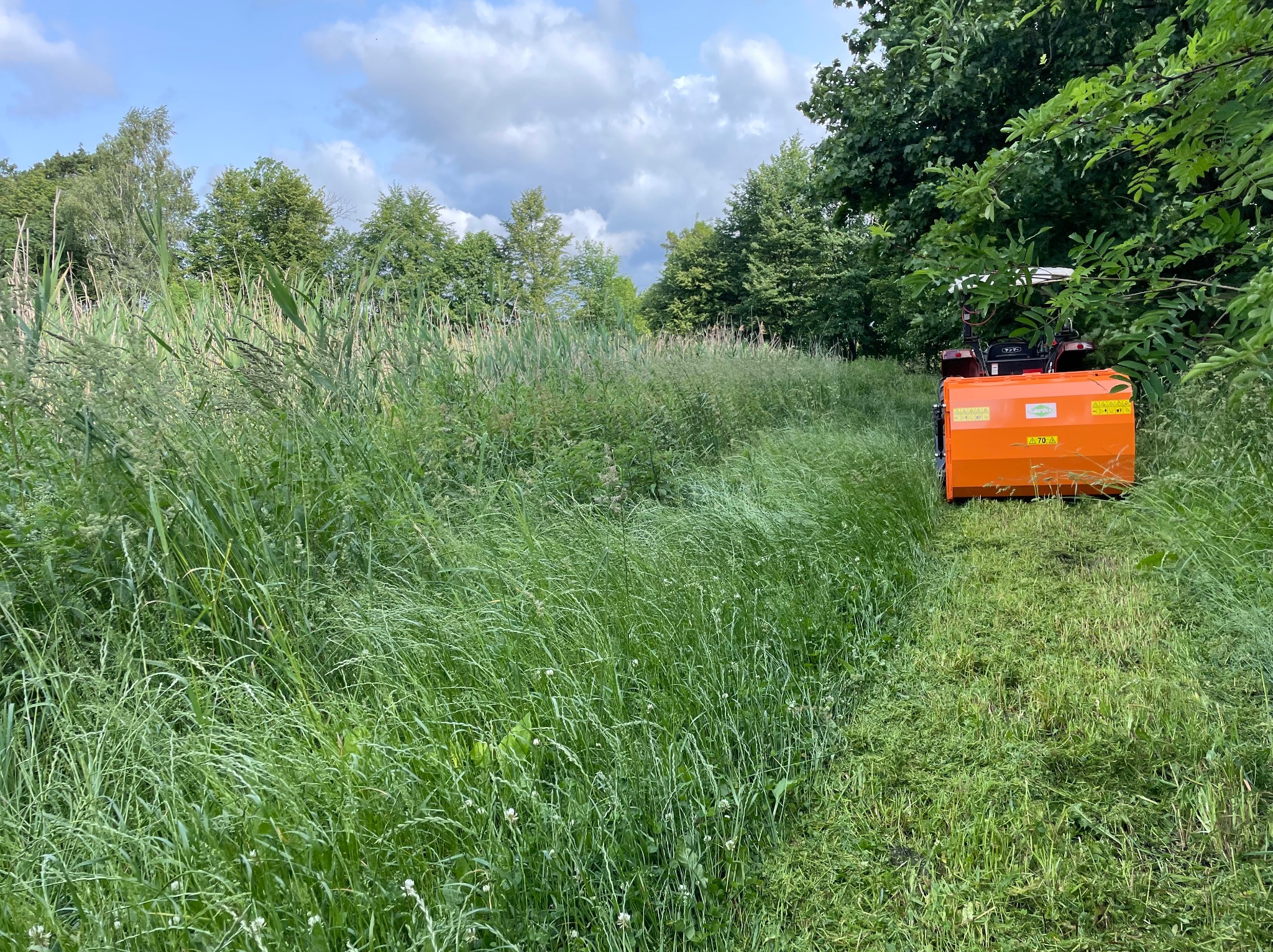 Pomarańczowa kosiarka bijakowa w trakcie koszenia wysokiej trawy na łące, widoczna ścieżka świeżo skoszonej trawy, drzewa w tle.