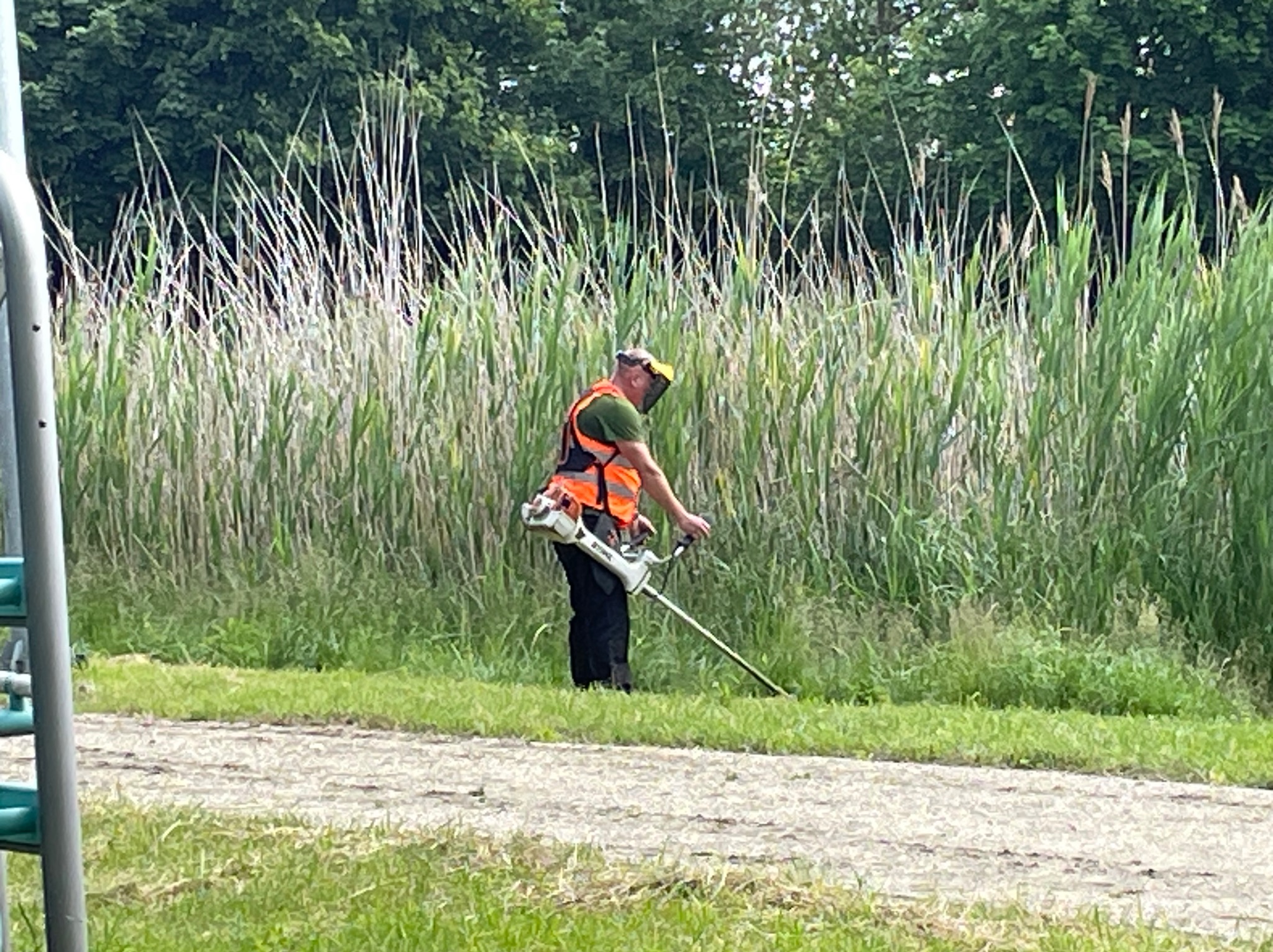Pracownik w kamizelce tnie trawę kosiarką spalinową na tle wysokiej zieleni. Mężczyzna ma na sobie osłonę twarzy. Kosiarka Stihl.