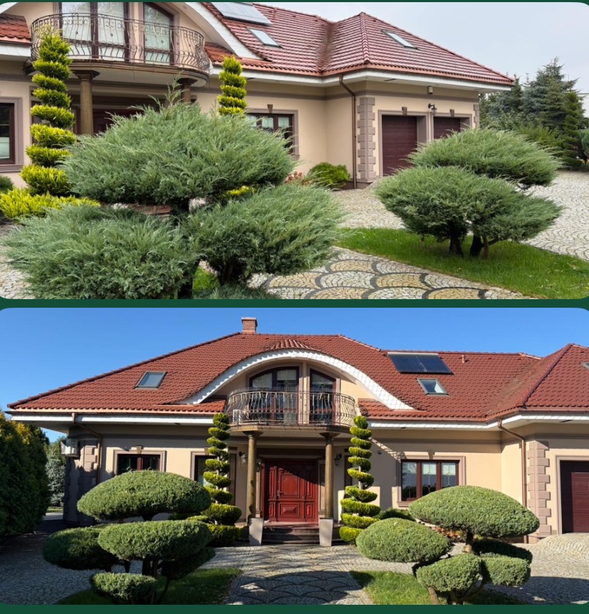 Uformowane krzewy przed domem z czerwonym dachem i balkonem. Dekoracyjne drzewka iglaste przy wejściu. Estetyczny ogród przydomowy z kostką brukową.