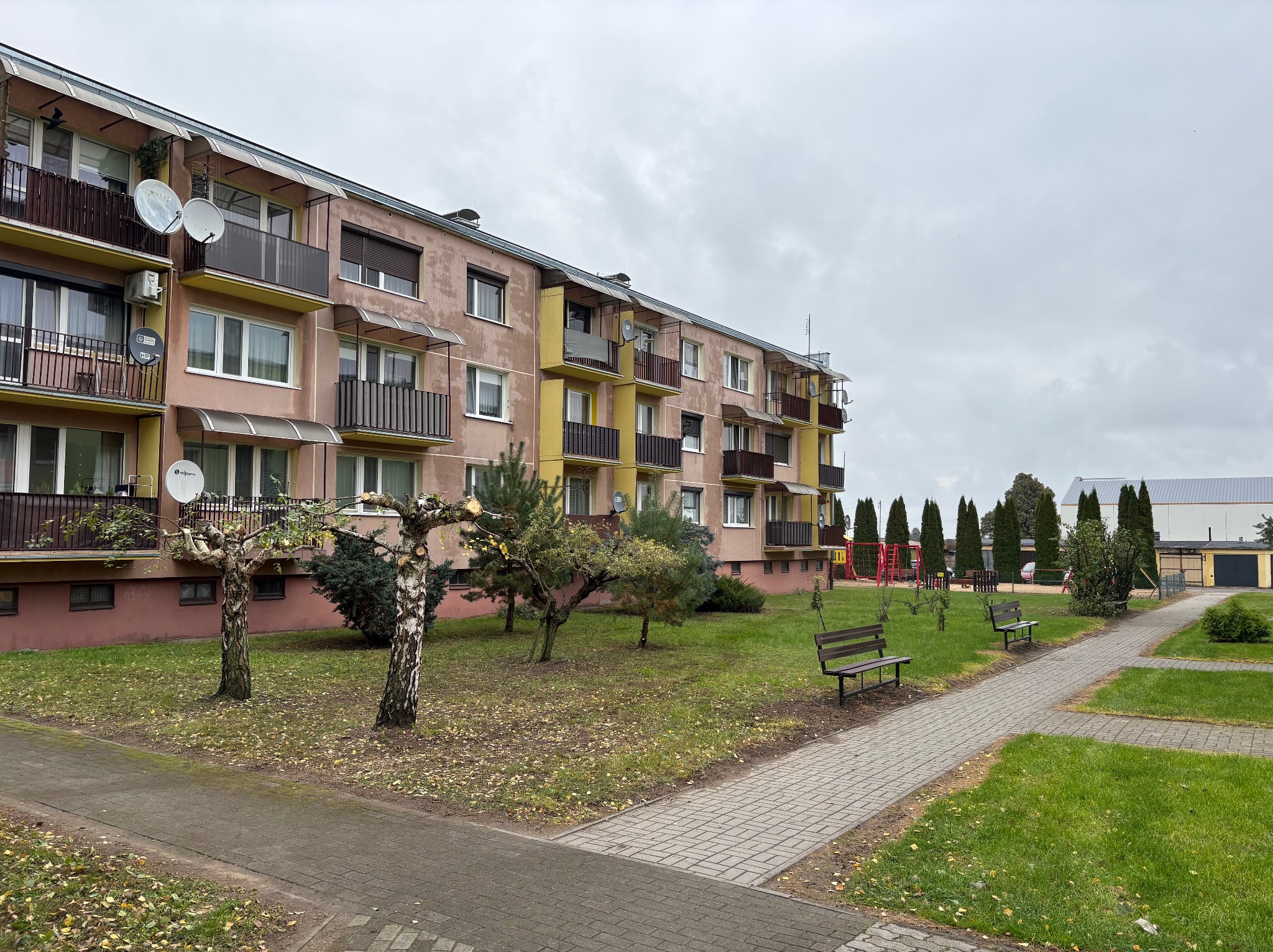 Osiedlowy krajobraz po przycięciu drzew: formowane korony brzóz, równo przystrzyżony trawnik, alejka z kostki brukowej i ławki. Tło stanowi blok mieszkalny.