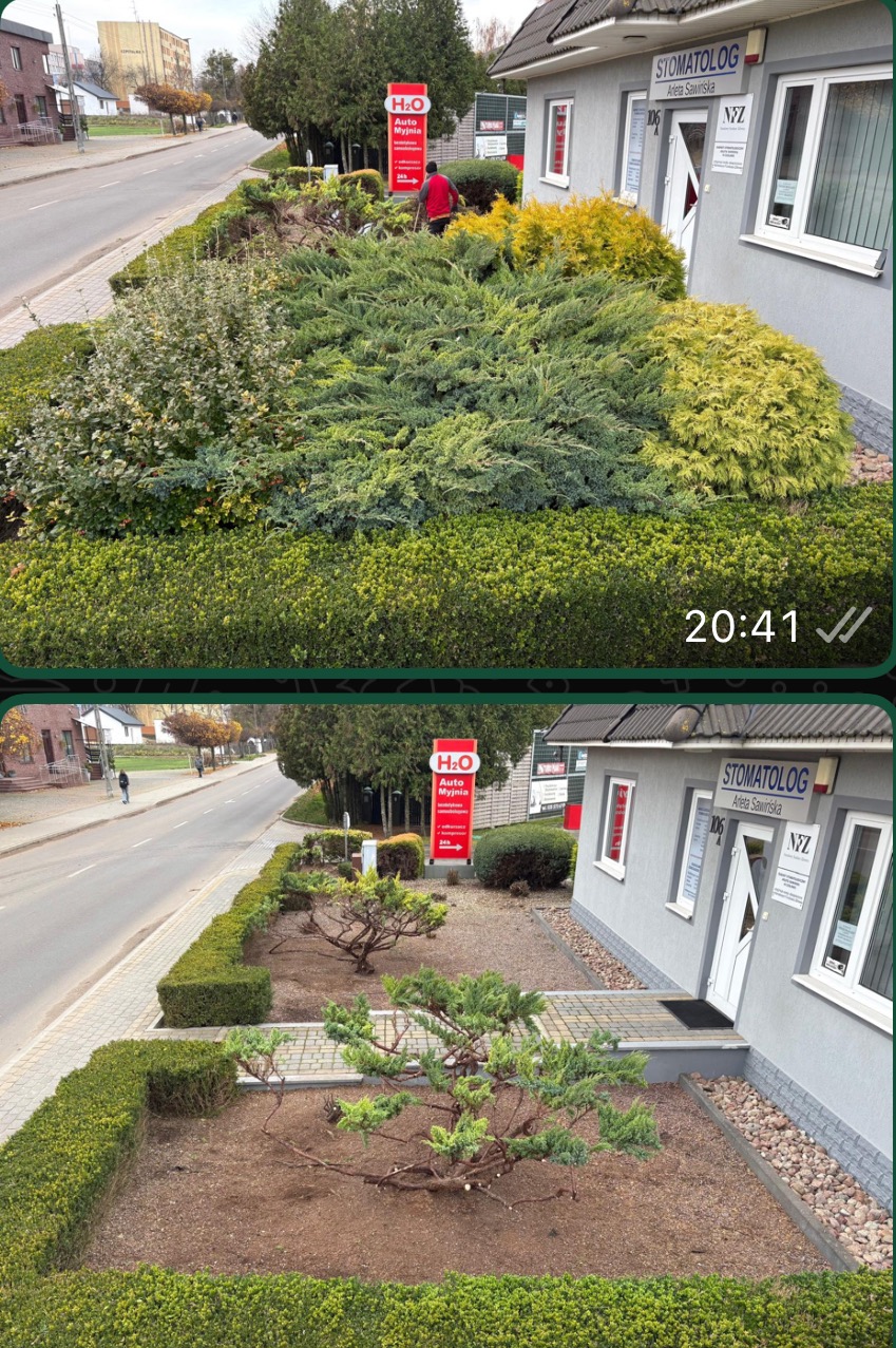 Zdjęcie 'przed i po' pielęgnacji zieleni przy budynku w Kruszwicy. Górna część pokazuje bujną roślinność, dolna - po przycięciu i uporządkowaniu.