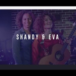 Realizacja strony dla Shandy & Eva 