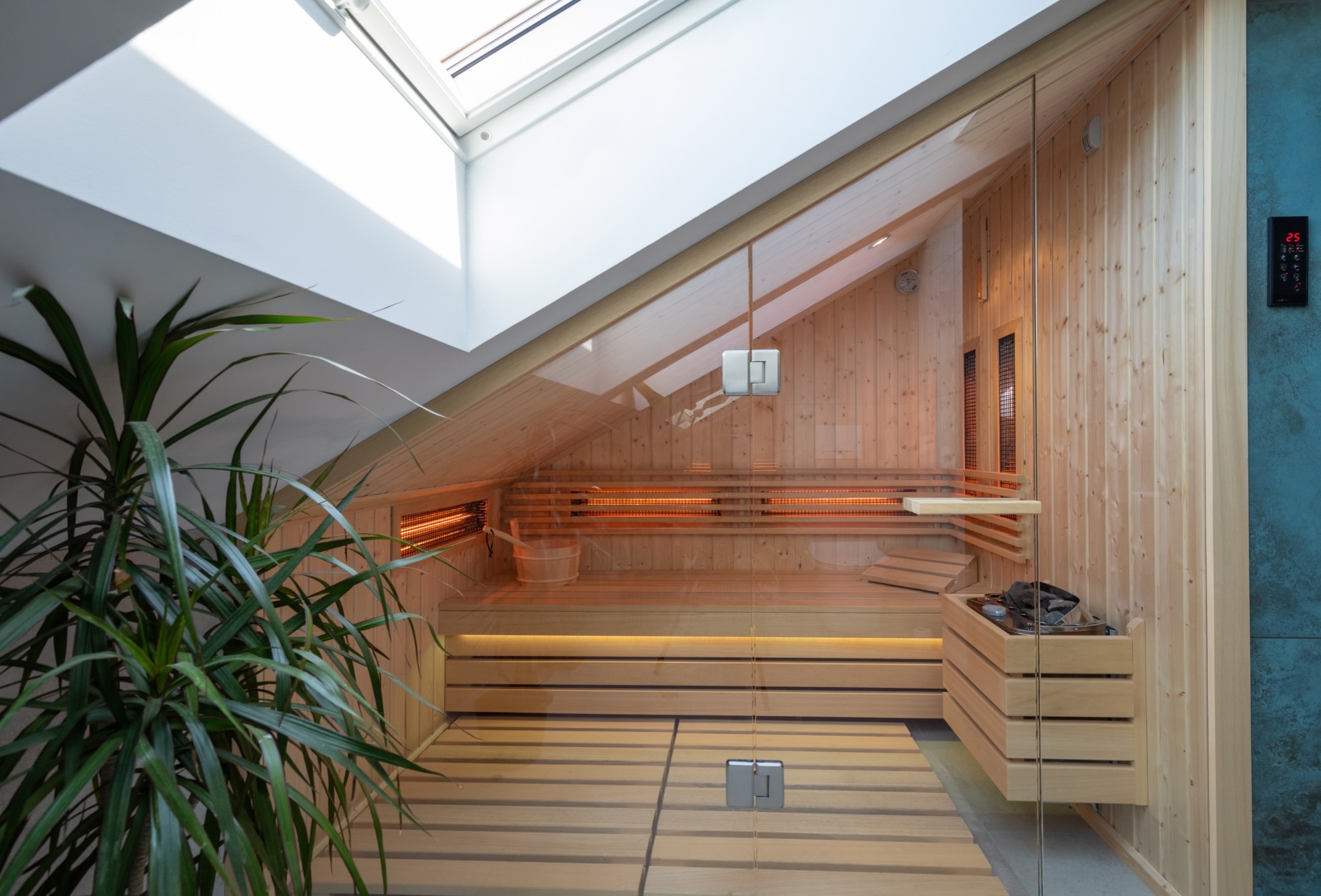 Nowoczesna, jasna kabina z drewna, oświetlona listwą LED pod ławkami, z przeszklonymi drzwiami i dużym oknem dachowym, obok zielona roślina doniczkowa.