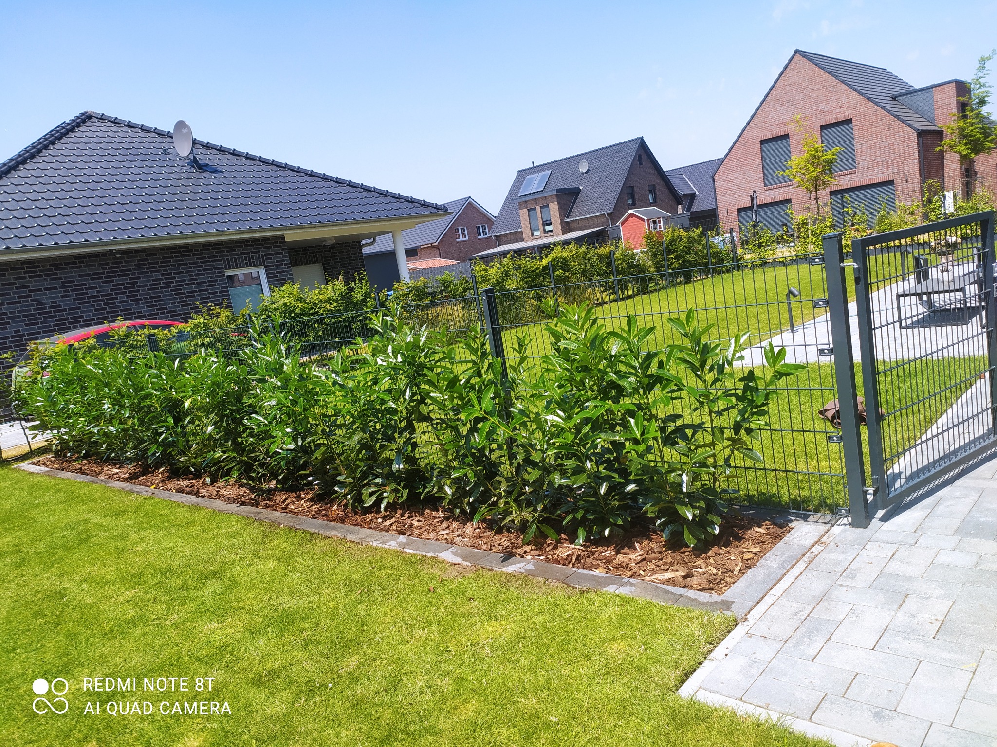 Nowoczesny ogród z równo przyciętym żywopłotem, obrzeżem z kostki, metalową furtką i zadbanym trawnikiem na tle zabudowy jednorodzinnej w słoneczny dzień.