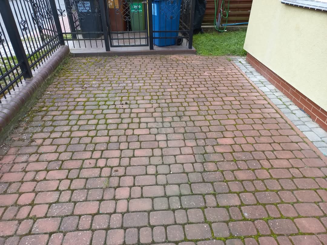 Czerwona kostka brukowa przed domem, pokryta zielonym mchem i porostami, widoczne ślady zabrudzeń i zaniedbania.