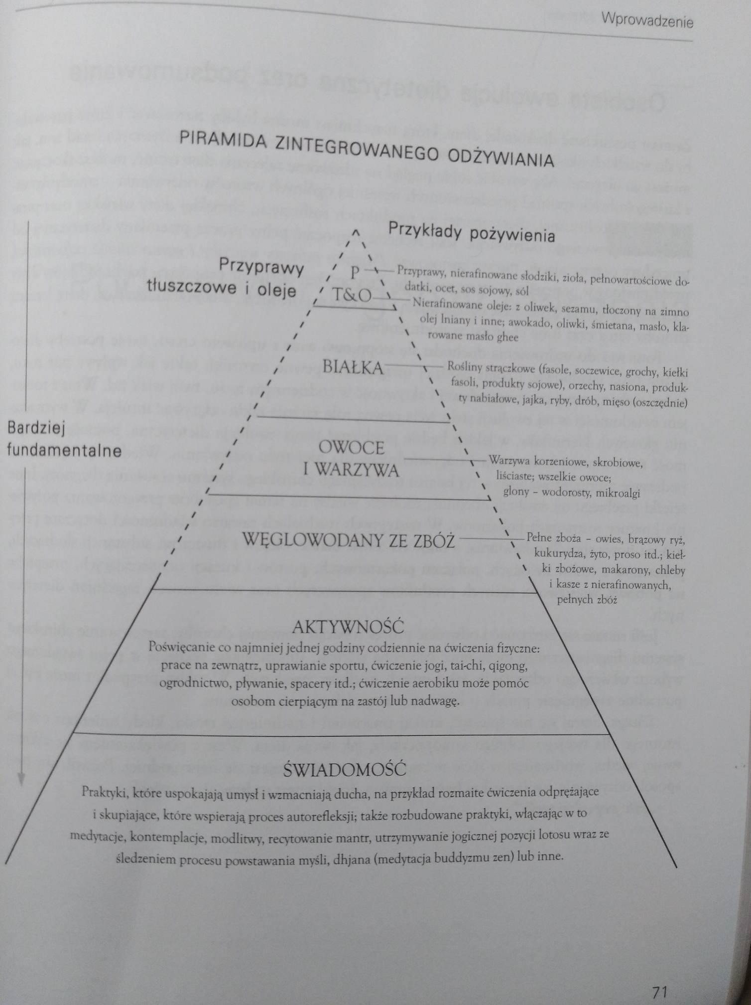 Piramida zintegrowanego odżywiania przedstawiająca poziomy: świadomość, aktywność, węglowodany ze zbóż, owoce i warzywa, białka, przyprawy tłuszczowe i oleje, z przykładami pożywienia dla każdego...