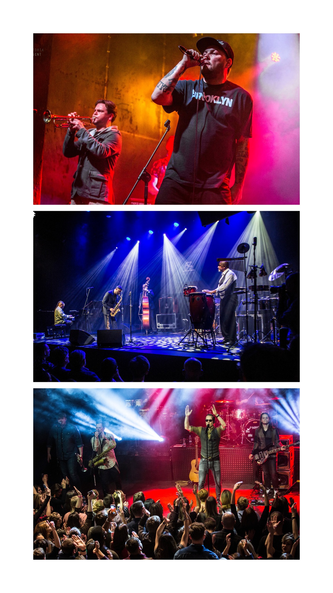 Zespół muzyczny gra koncert na scenie oświetlonej kolorowymi reflektorami, widać wokalistę w czarnym t-shircie z napisem Brooklyn, trębacza, saksofonistę, pianistę, basistę i perkusistę...