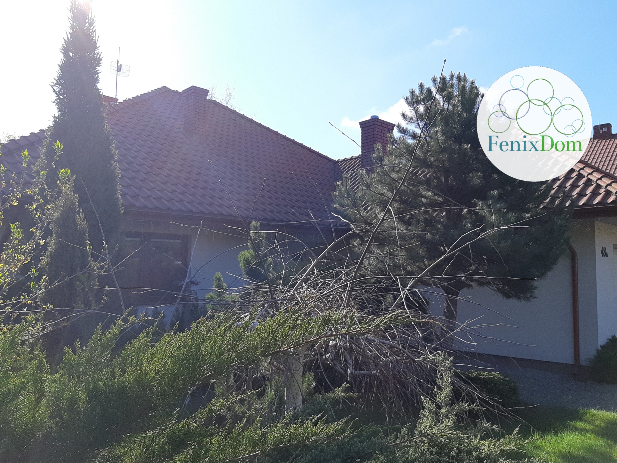 Dach przed czyszczeniem