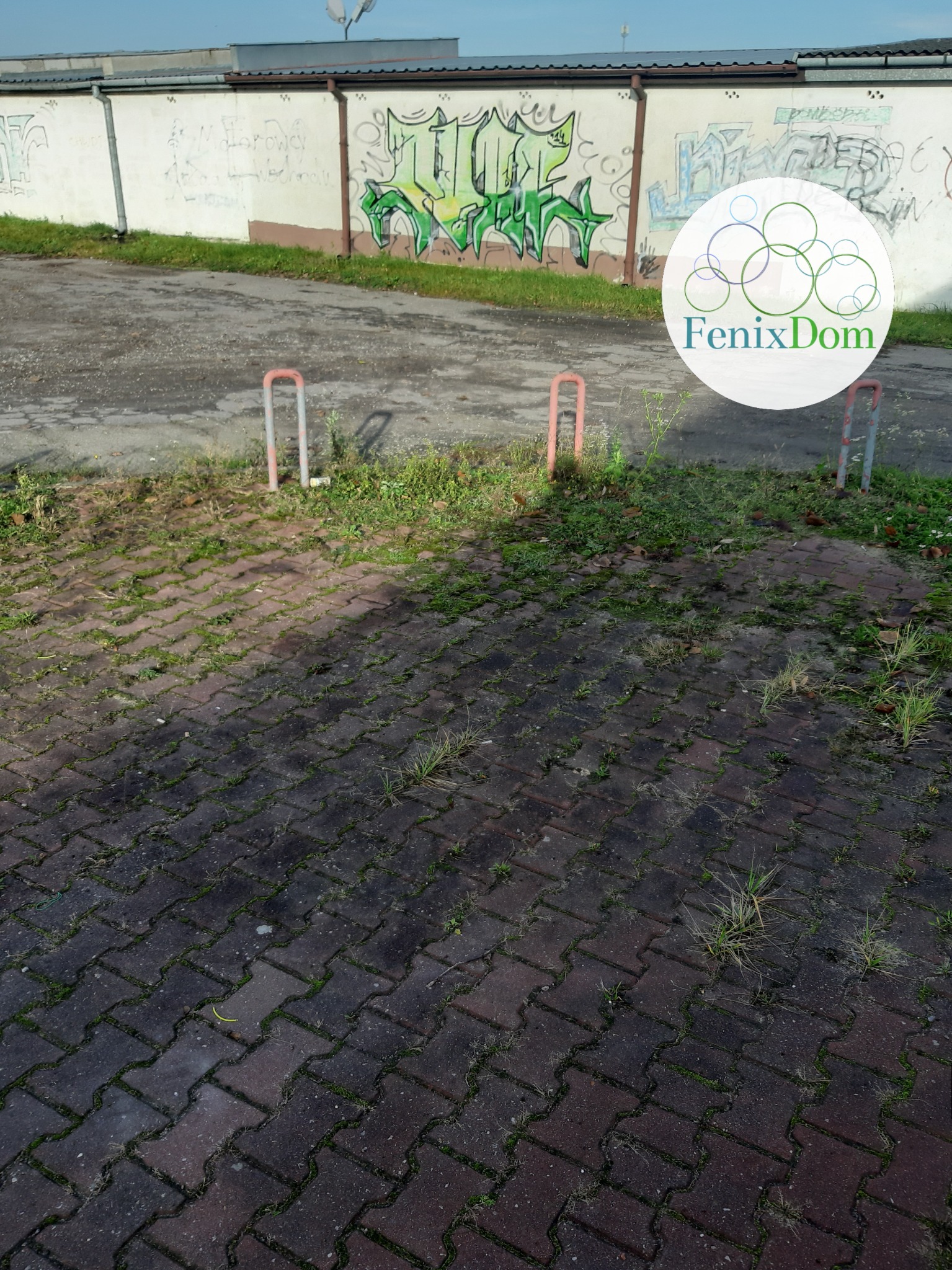 Brudna porośnięta kostka brukowa