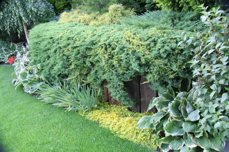 Projektowanie i zakładanie ogrodów woj. Zachodniopomorskie