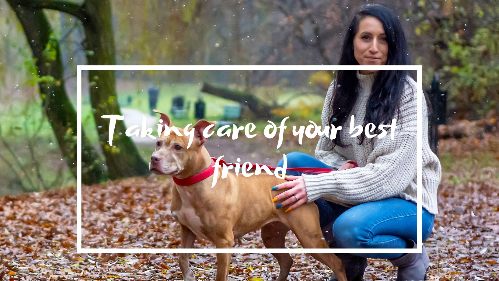 Kobieta w swetrze kuca obok psa rasy Pitbull Terrier na smyczy w parku jesienią, z widocznymi opadającymi liśćmi i osobami w tle.