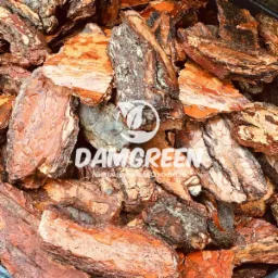 Kora Sosnowa 80L Frakcja : Sortowana Ręcznie