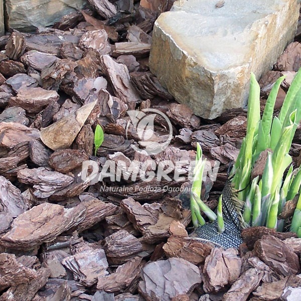 Kora Sosnowa 80L Frakcja : 70-100mm